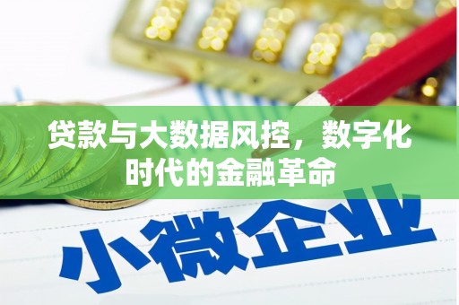虾峙贷款与大数据风控，数字化时代的金融革命