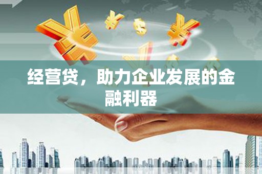 荔城经营贷，助力企业发展的金融利器