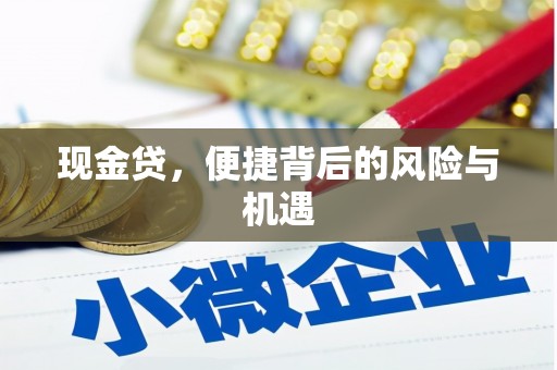 新郑现金贷，便捷背后的风险与机遇