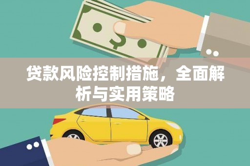 陆丰贷款风险控制措施，全面解析与实用策略