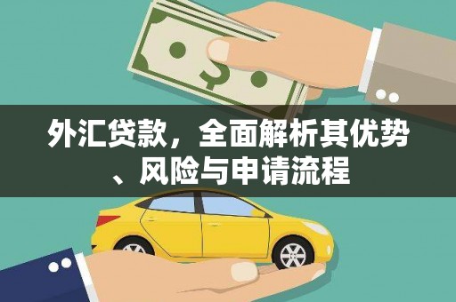 淡水外汇贷款，全面解析其优势、风险与申请流程