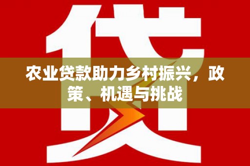 西夏农业贷款助力乡村振兴，政策、机遇与挑战