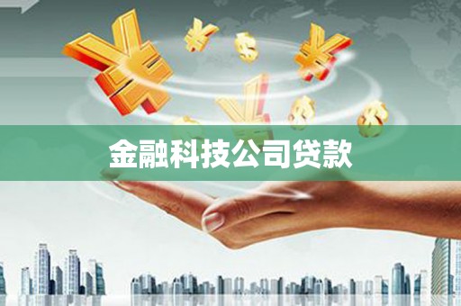 禄丰金融科技公司贷款