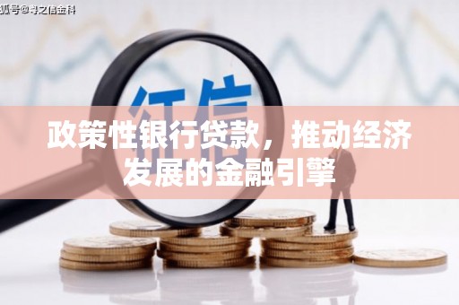 彝良政策性银行贷款，推动经济发展的金融引擎