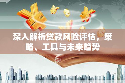 金寨深入解析贷款风险评估，策略、工具与未来趋势
