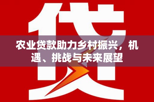 东明农业贷款助力乡村振兴，机遇、挑战与未来展望