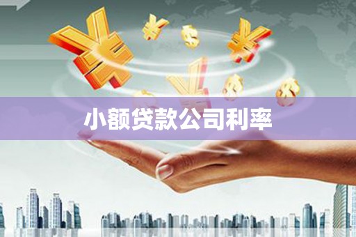 梧州小额贷款公司利率