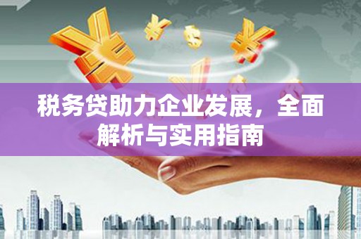 张湾税务贷助力企业发展，全面解析与实用指南