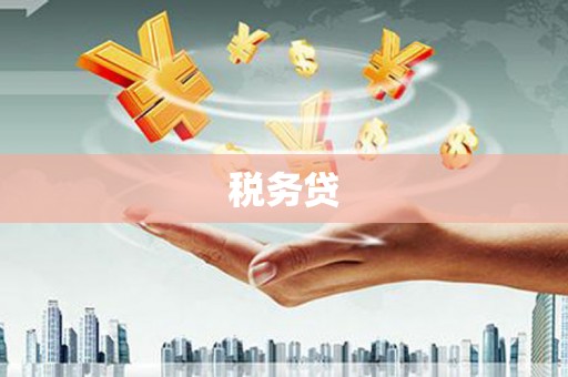 淄博税务贷