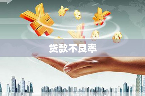 涉县贷款不良率