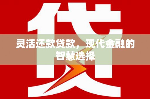 大社灵活还款贷款，现代金融的智慧选择