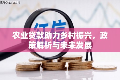 容县农业贷款助力乡村振兴，政策解析与未来发展
