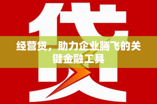 霍山经营贷，助力企业腾飞的关键金融工具