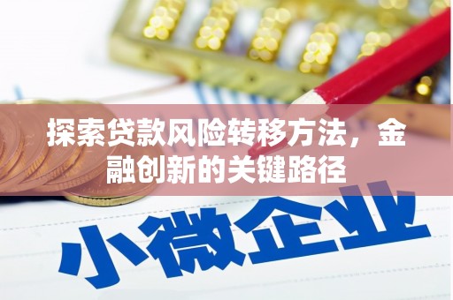 泸溪探索贷款风险转移方法，金融创新的关键路径