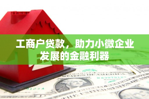 凤台工商户贷款，助力小微企业发展的金融利器