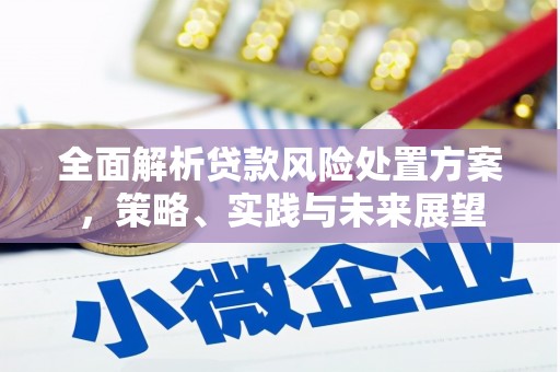 宜宾全面解析贷款风险处置方案，策略、实践与未来展望