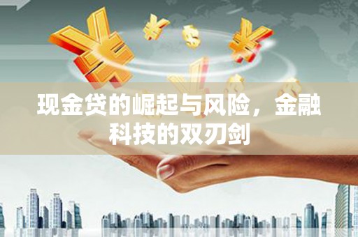 韶关现金贷的崛起与风险，金融科技的双刃剑