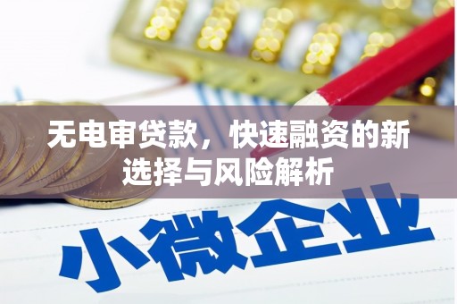 武清无电审贷款，快速融资的新选择与风险解析
