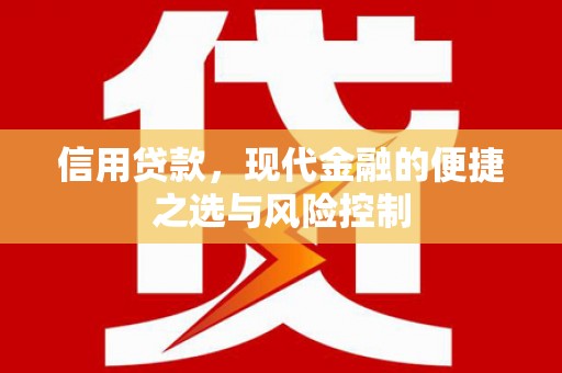 朱家尖信用贷款，现代金融的便捷之选与风险控制