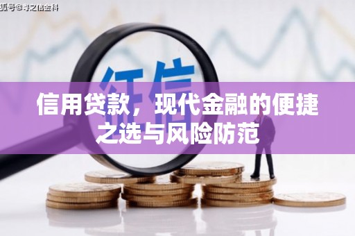 武隆信用贷款，现代金融的便捷之选与风险防范