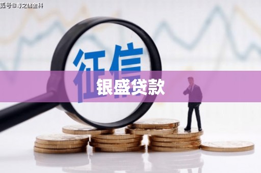 武冈银盛贷款