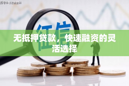 任城无抵押贷款，快速融资的灵活选择