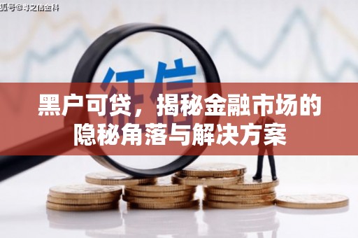 西秀黑户可贷，揭秘金融市场的隐秘角落与解决方案