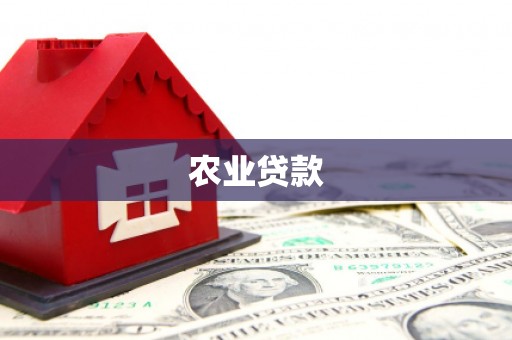 泸州农业贷款