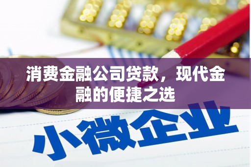 琼结消费金融公司贷款，现代金融的便捷之选