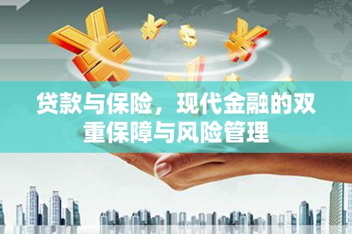 大渡口贷款与保险，现代金融的双重保障与风险管理
