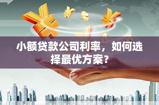 竹塘小额贷款公司利率，如何选择最优方案？