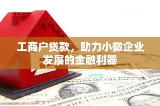 光明新区工商户贷款，助力小微企业发展的金融利器