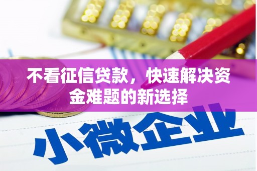 新田不看征信贷款，快速解决资金难题的新选择