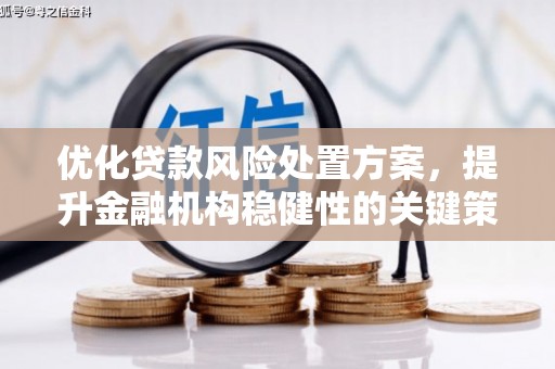 滨城优化贷款风险处置方案，提升金融机构稳健性的关键策略