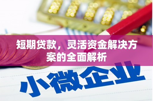 集集短期贷款，灵活资金解决方案的全面解析