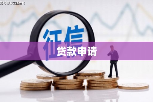 颍东贷款申请