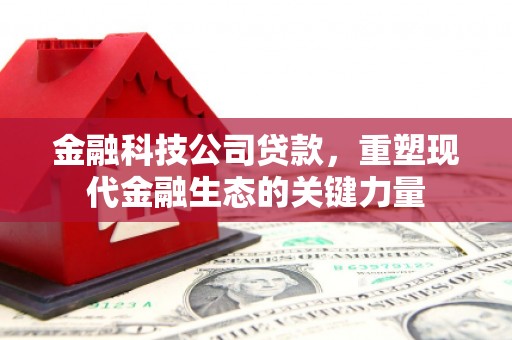 覃塘金融科技公司贷款，重塑现代金融生态的关键力量