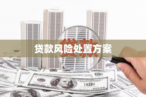 祁连贷款风险处置方案