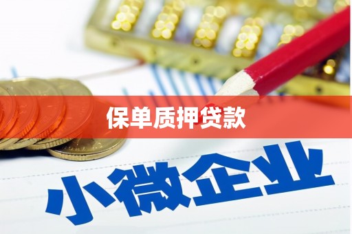 枣庄保单质押贷款