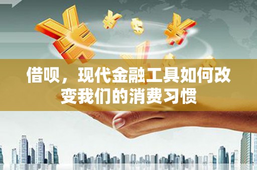三民借呗，现代金融工具如何改变我们的消费习惯