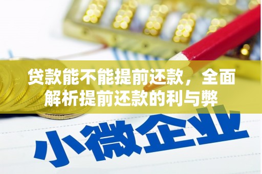 岳塘贷款能不能提前还款，全面解析提前还款的利与弊
