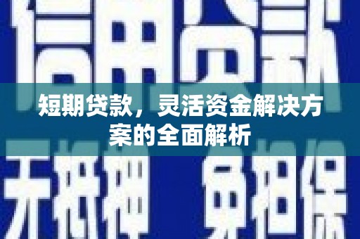 海端短期贷款，灵活资金解决方案的全面解析
