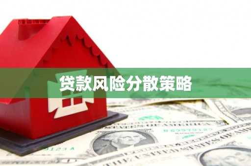 南头贷款风险分散策略