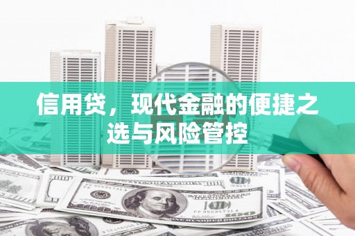 灵武信用贷，现代金融的便捷之选与风险管控