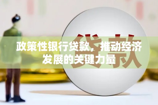宜秀政策性银行贷款，推动经济发展的关键力量