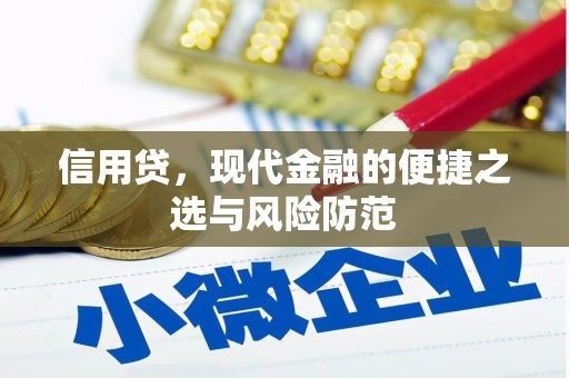 南涧信用贷，现代金融的便捷之选与风险防范