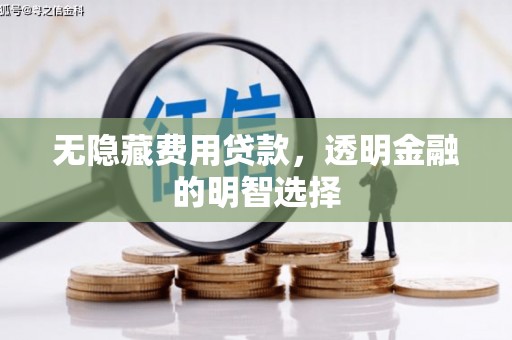 望谟无隐藏费用贷款，透明金融的明智选择