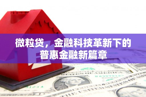 济宁微粒贷，金融科技革新下的普惠金融新篇章