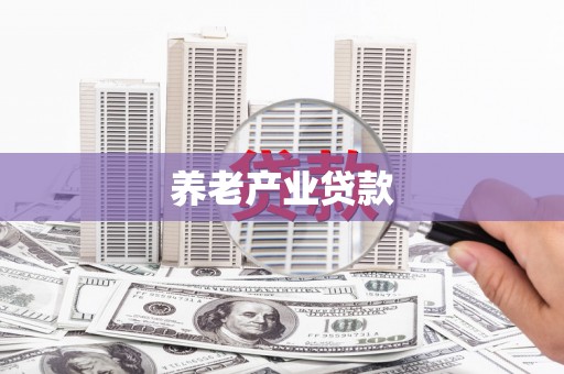 留坝养老产业贷款