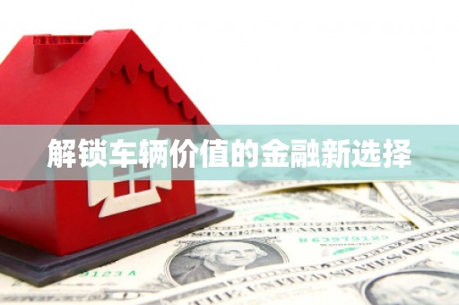 保税港区解锁车辆价值的金融新选择